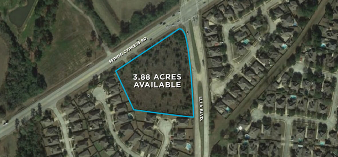 Spring Cypress @ Ella